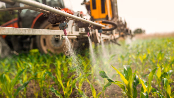 Pest Prevention Services in Cape Girardeau, MO